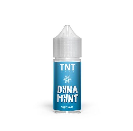 Dyna Mint 10+10